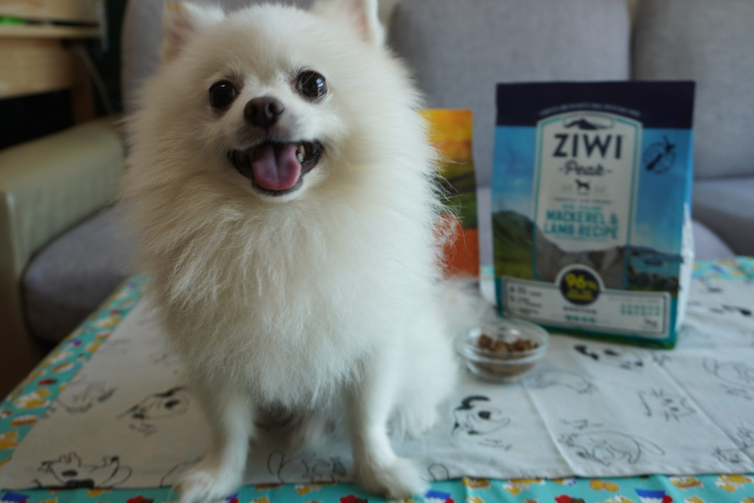 「品牌推廣專欄」【狗狗飼料推薦】狗狗吃ZIWI巔峰後毛髮變得超亮麗，適口性第一、超高肉含量的狗飼料。ZIWI巔峰狗飼料，紐西蘭生產製造，讓毛孩健康有活力！