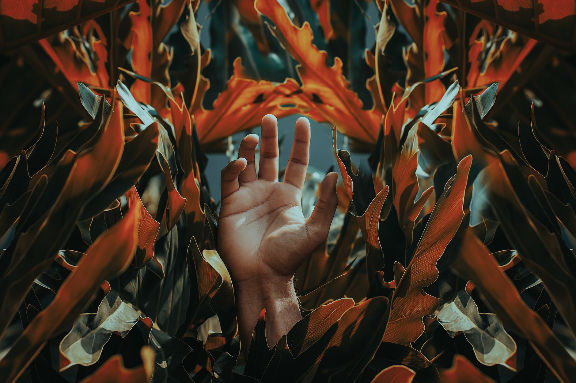 hand among orange leaves