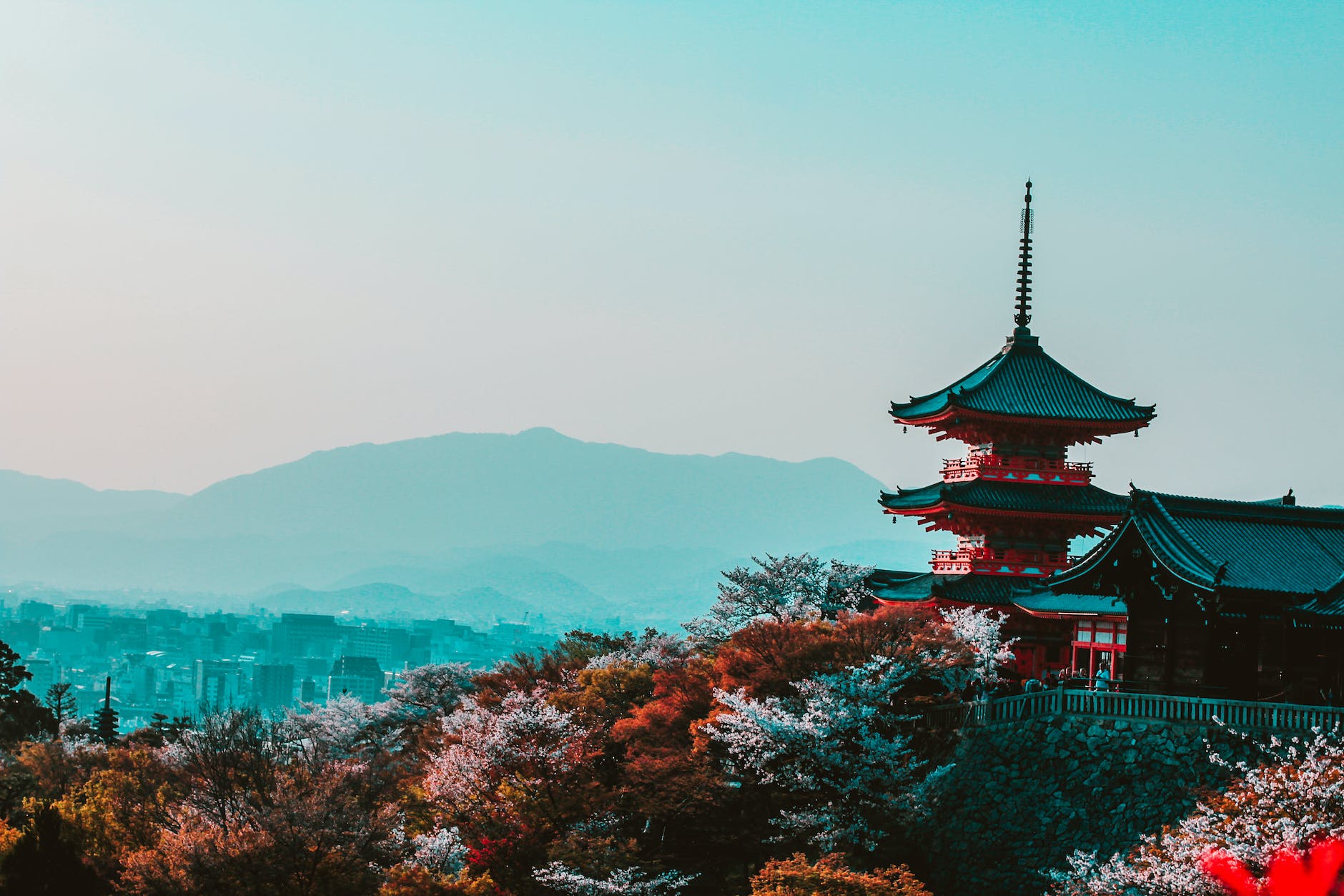 ​【2024旅行計畫】大阪京都自由行，住宿、美食、景點、伴手禮推薦​