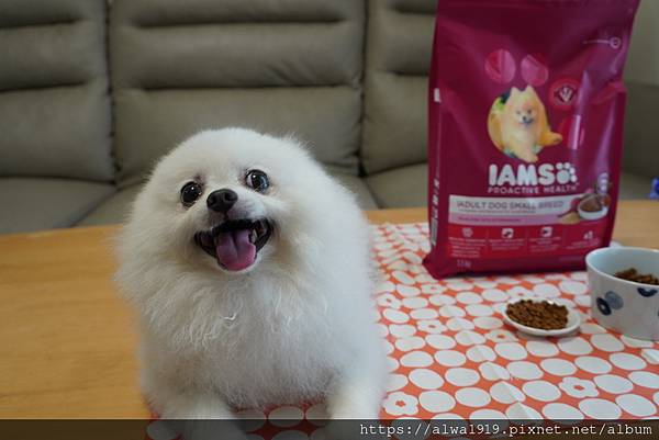 【狗飼料推薦】IAMS™愛慕思™。健康優活系列。小型成犬營養