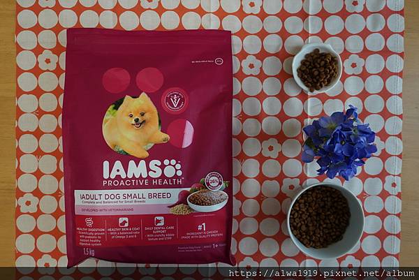 【狗飼料推薦】IAMS™愛慕思™。健康優活系列。小型成犬營養