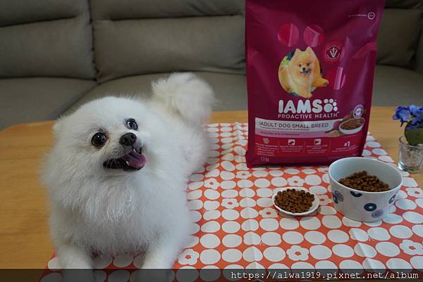 【狗飼料推薦】IAMS™愛慕思™。健康優活系列。小型成犬營養