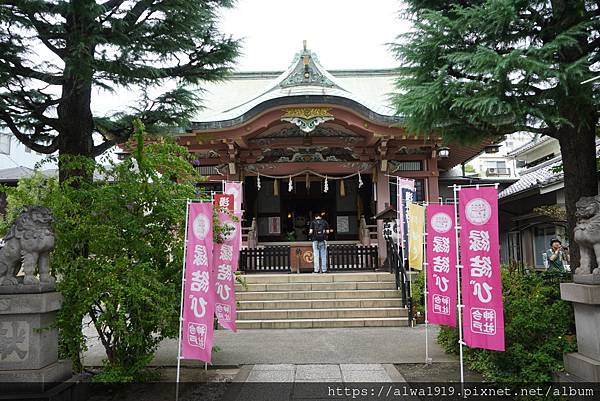 【東京旅遊！淺草景點】今戶神社：招財貓戀愛神社！可愛御守御神