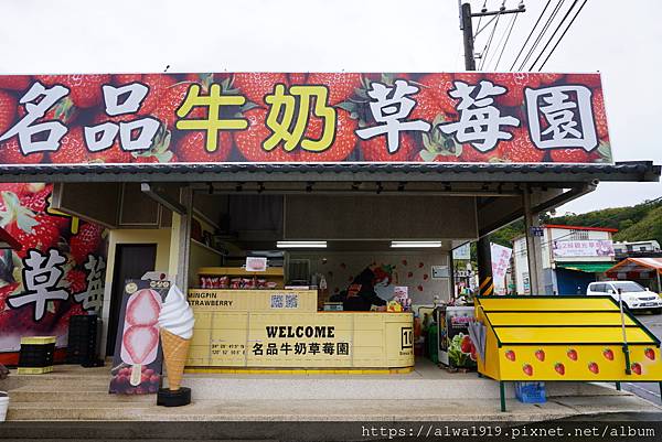 【苗栗大湖旅遊推薦】嬌豔欲滴的香甜草莓來啦！！到「名品牛奶草